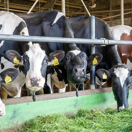 Retreat Ferienhaus *