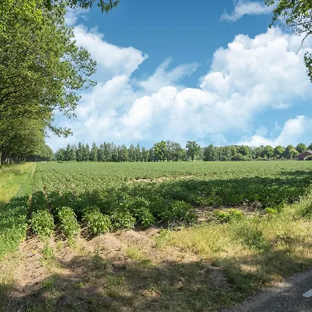 House With A Large Garden In Achterhoek *
