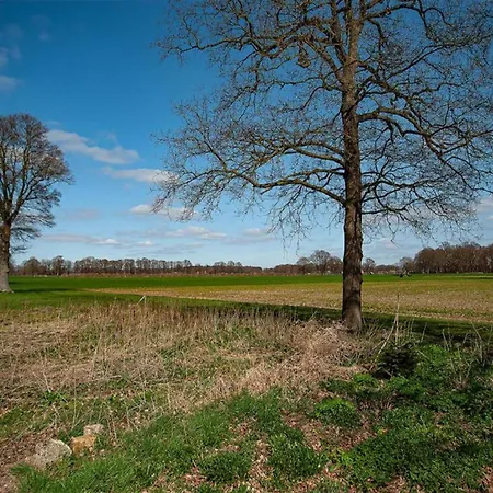 House With A Large Garden In Achterhoek