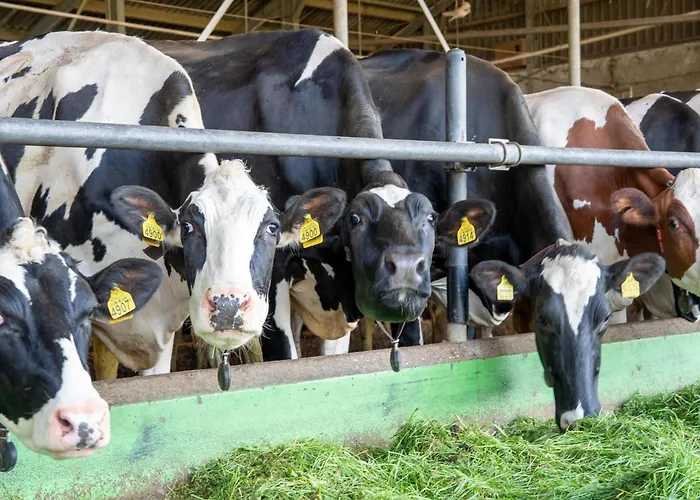 Retreat Σπίτι διακοπών *